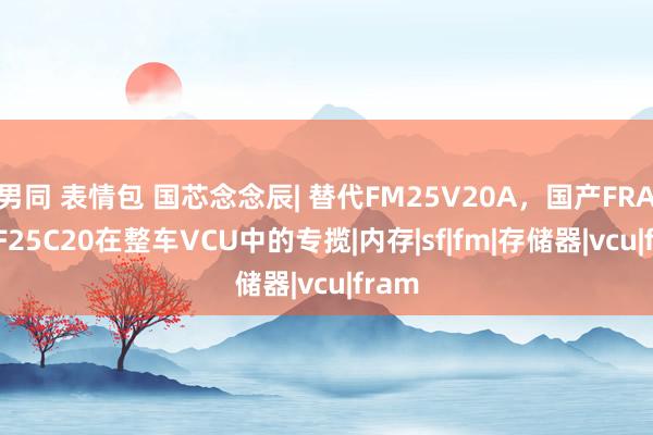 男同 表情包 国芯念念辰| 替代FM25V20A，国产FRAM SF25C20在整车VCU中的专揽|内存|sf|fm|存储器|vcu|fram