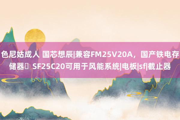 色尼姑成人 国芯想辰|兼容FM25V20A，国产铁电存储器​SF25C20可用于风能系统|电板|sf|截止器