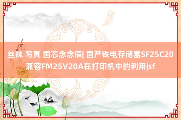 丝袜 写真 国芯念念辰| 国产铁电存储器SF25C20兼容FM25V20A在打印机中的利用|sf