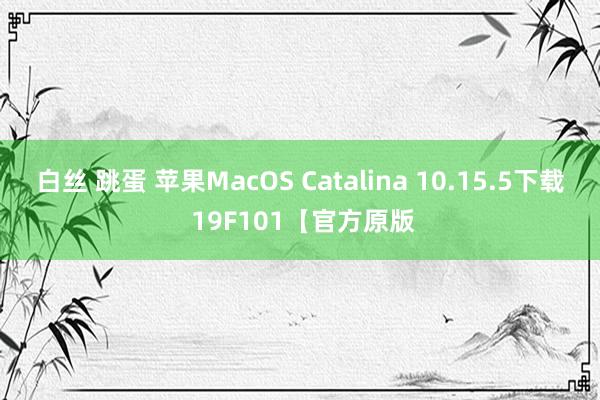 白丝 跳蛋 苹果MacOS Catalina 10.15.5下载 19F101【官方原版