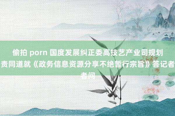 偷拍 porn 国度发展纠正委高技艺产业司规划负责同道就《政务信息资源分享不绝暂行宗旨》答记者问