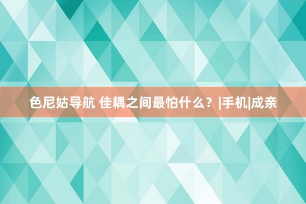 色尼姑导航 佳耦之间最怕什么？|手机|成亲